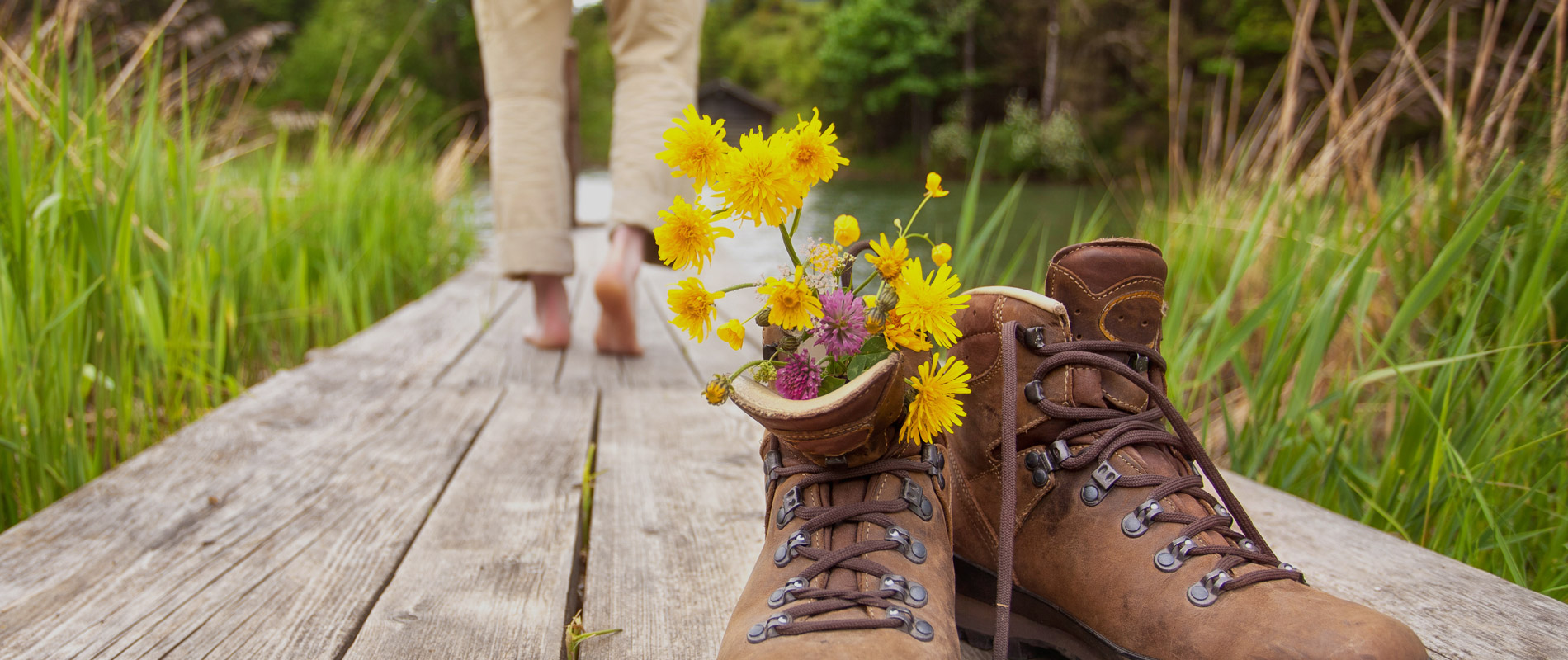 ©Jenny Sturm _Fotolia.com .jpg